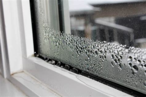 fix leaking window frame|5 Reasons Your Windows Are Leaking (And How to Fix Them)